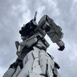 李一只的自留地