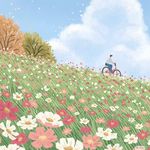 阿月浑子海