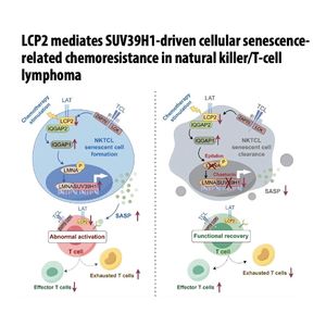 1459-LCP2 Deficiency Drives Chemoresistance in Lymphoma