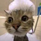 不可回收艺术家2