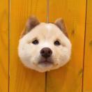 _Wang_