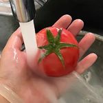 marcie_社恐番茄头