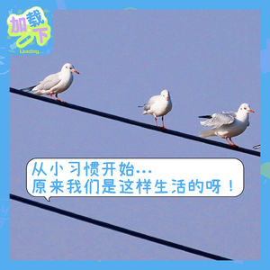 024. 从小习惯开始...原来我们是这样生活的呀！