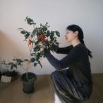 我只是半夜林黛玉