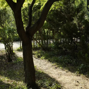 15｜日常需要偶尔‘赋魅’，出发的我们就值得鼓掌！