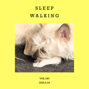 vol.343：上班梦游人，飘忽行进曲～