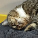 他坚信的诗篇在短波中消散