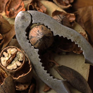 EP52 识别市场异常结构