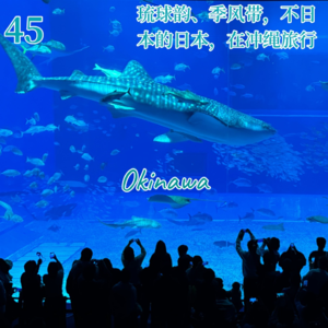 Vol.45 琉球韵、季风带，不日本的日本，在冲绳旅行🇯🇵