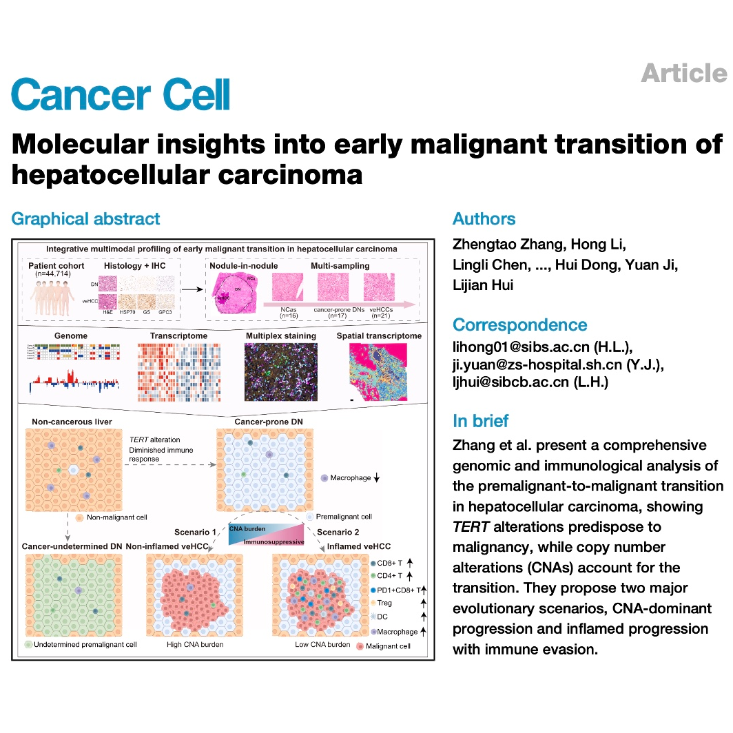 786-Genetic Drivers of Hepatocellular Carcinoma Initiation episode artwork