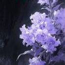 唯希墨曦