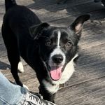 很不错的用户名