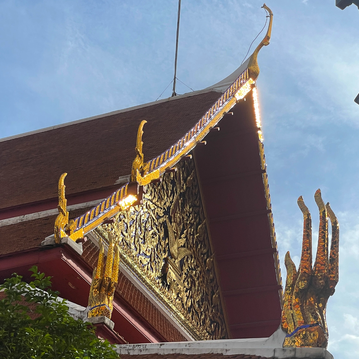 明日博物馆Tomorrow Museum