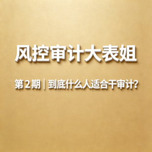 第2期|到底什么人适合做审计?