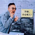鲁格尔先生