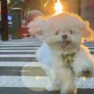 宇宙超级无敌棒