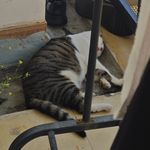 mmppt