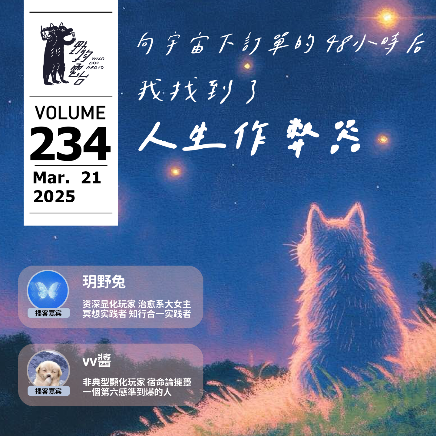 cover of episode 向宇宙下訂單的48小時後，我找到了人生作弊器 by W 野狗播客