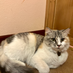 VOL.7 | 当我们闯入离职赛道，离开不可耻，也有用！