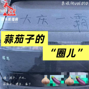杂谈向vol.070-蒜瘸子的圈儿