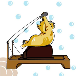 跑步与疯狂的尽头,是“禅与身体维修艺术”