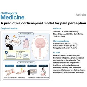 1337-Predictive Corticospinal Model for Pain Perception