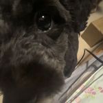 鲁滨逊漂流记