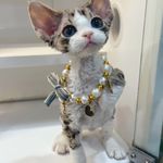 我的朋友不太能喝