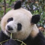瑞龙哥哥