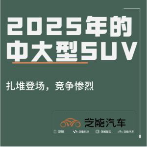 2025年，中大型SUV扎堆登场，战况空前激烈
