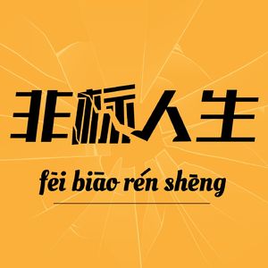 非标人生