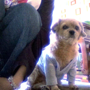 Vol15.热爱攀岩的年轻魔术师一边瑜伽一边说一些傻话🐧