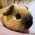 初一和77