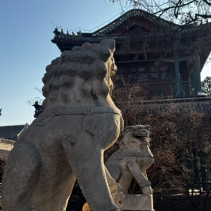 番外-河北｜保定周末游