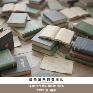 823.逐渐消失的老词儿