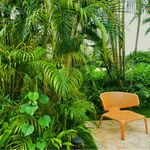 icy不可能是淑女