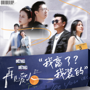 “我离了?我装的。”怒评婚恋观察真人秀《再见爱人4》| VOL.38