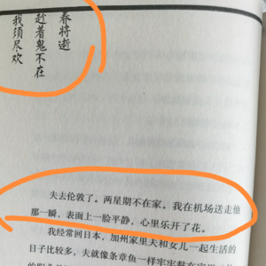 013.老公出长差 我婆婆发来消息“趁鬼不在 需尽欢”