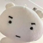 _荔枝小猫liz