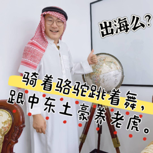 【中东篇】出海么？骑着骆驼跳着舞，跟中东土豪养老虎！