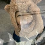 花田对