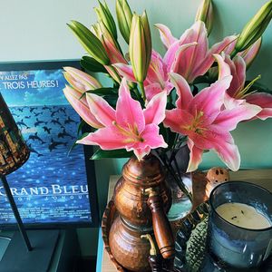 051 遇见生活中每一处细节里的自己