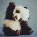 等等超超