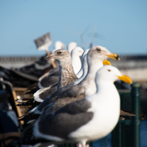 E2 领导力启蒙:从小时候一边当班干部一边精神内耗聊起