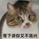 别黑处女座了！他们才是职场&婚姻顶级硬通货 | EP.60