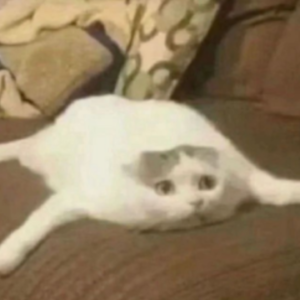 贰零后的孩子们虽然不用卷学习，但是得卷身体