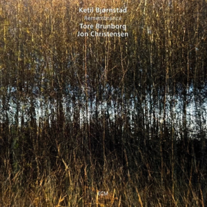 2025 EP. 120 当人类的情感被AI精准接住，我们还需要什么？