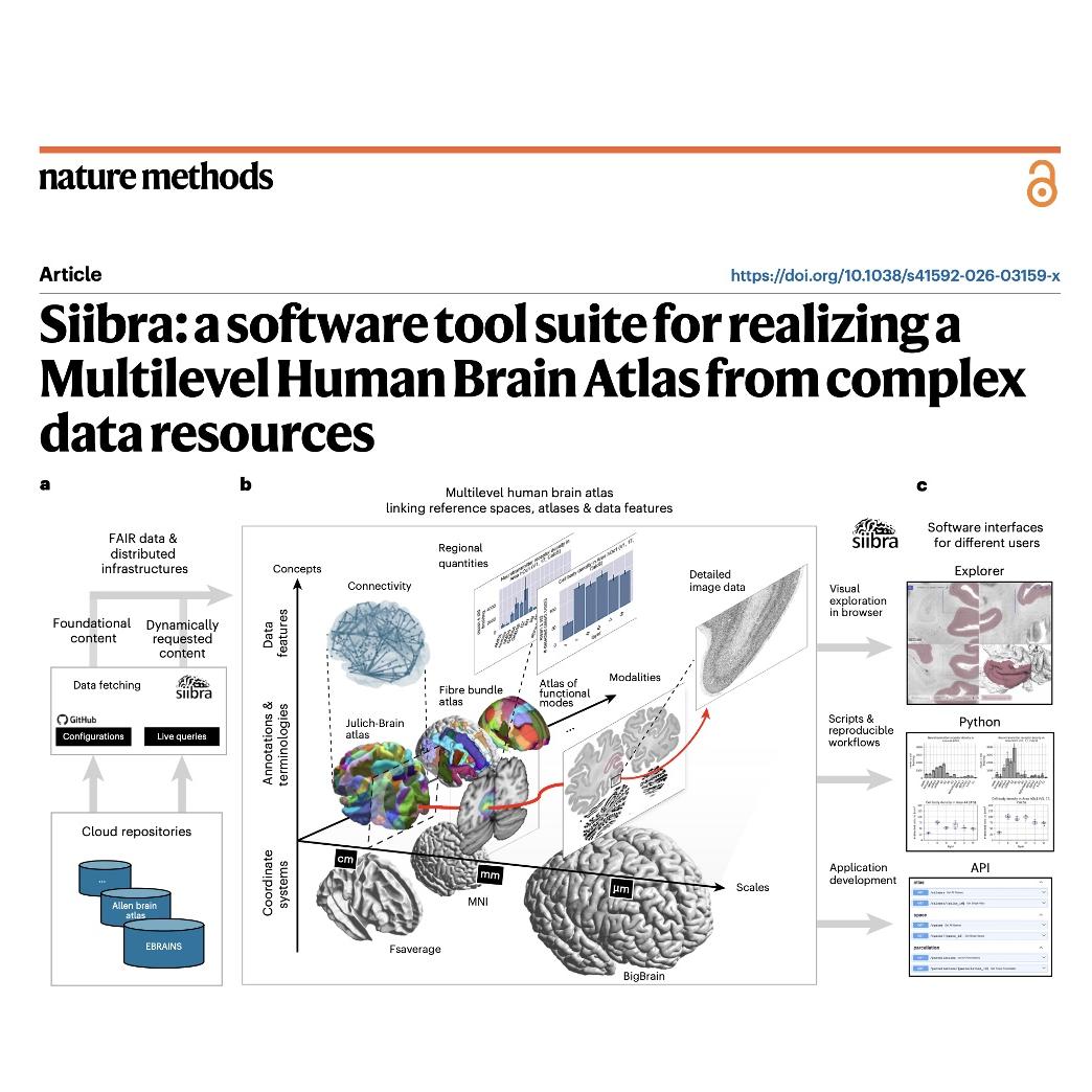 1553-Siibra: Tool Suite for Human Brain Atlasing episode artwork