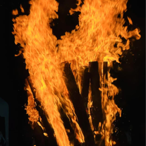 052. 过年的新方式：主动掌握家庭及自己的议程设置