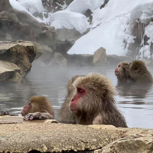 Vol.007 没钱的时候我们怎么花钱